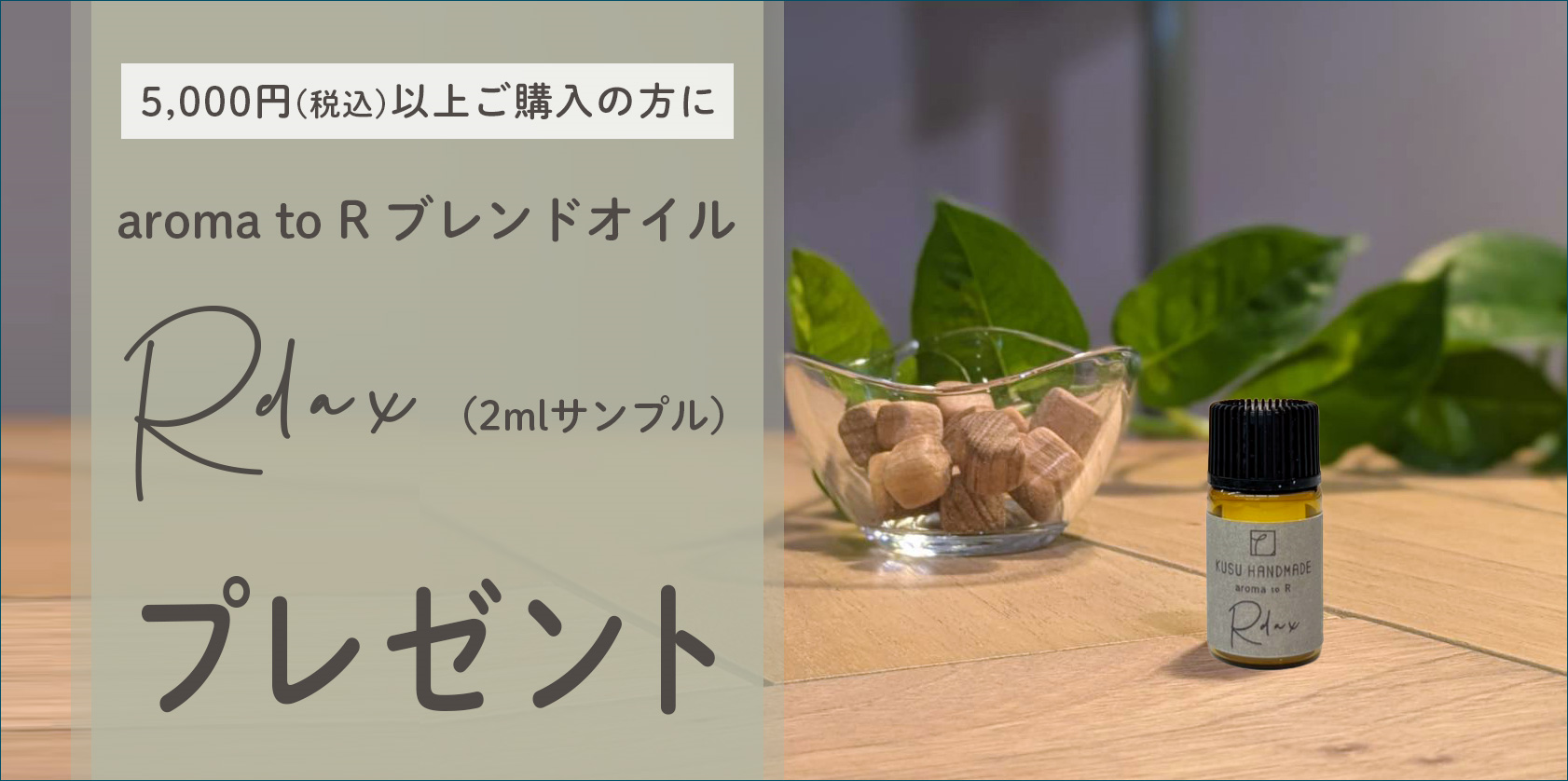 11月のWEBキャンペーン