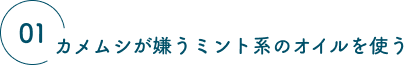 01 カメムシが嫌うミント系のオイルを使う